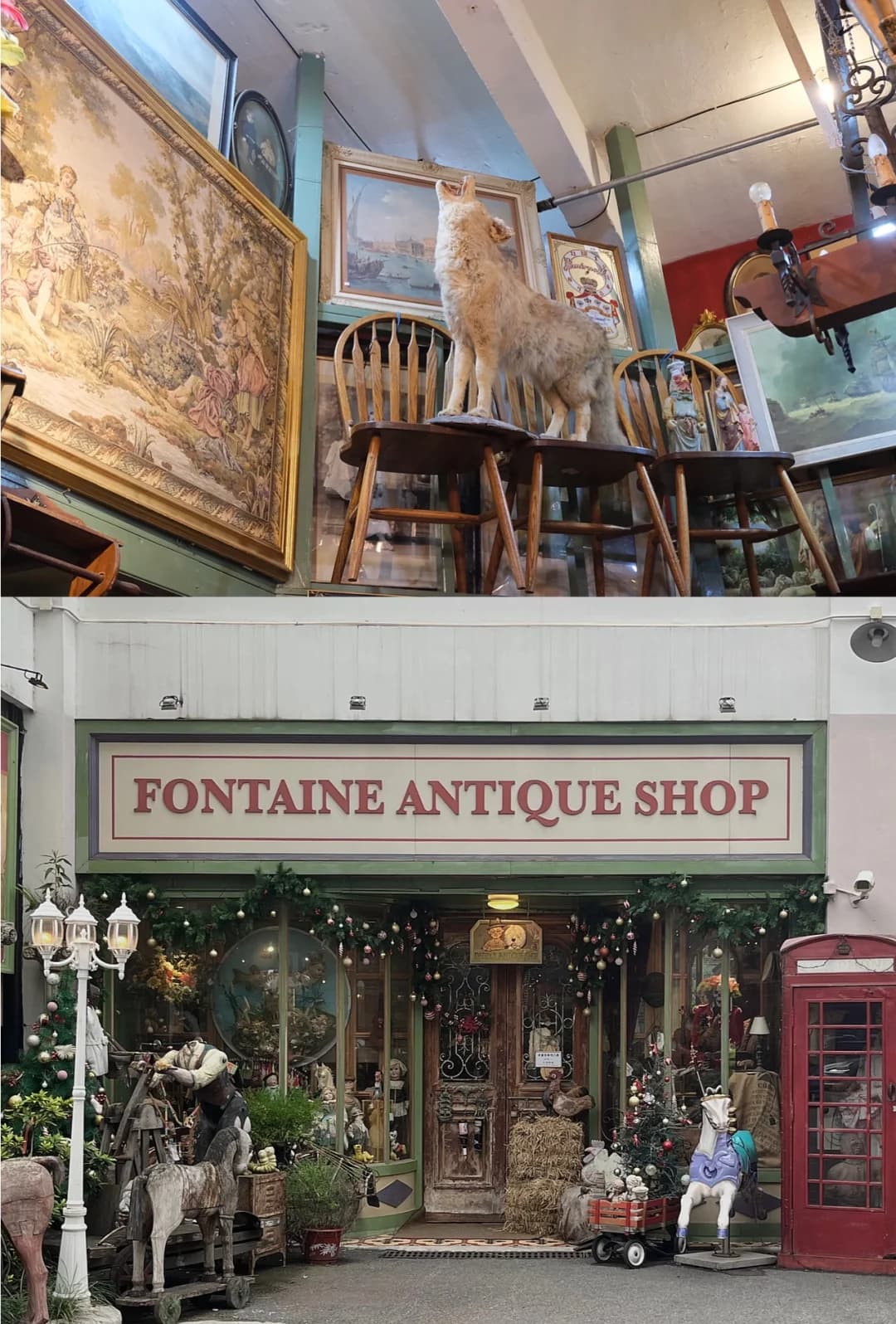 Must-Visit Antique Shops and Cultural Spaces for Vintage Enthusiasts in Shanghai